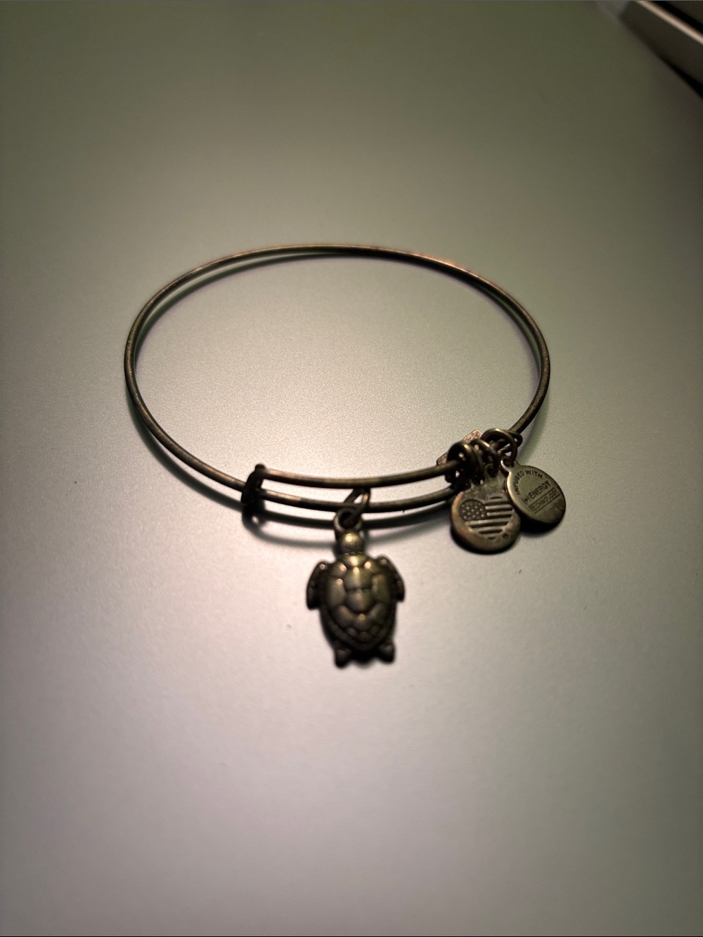 Alex and Ani Turtle Charm Bangle